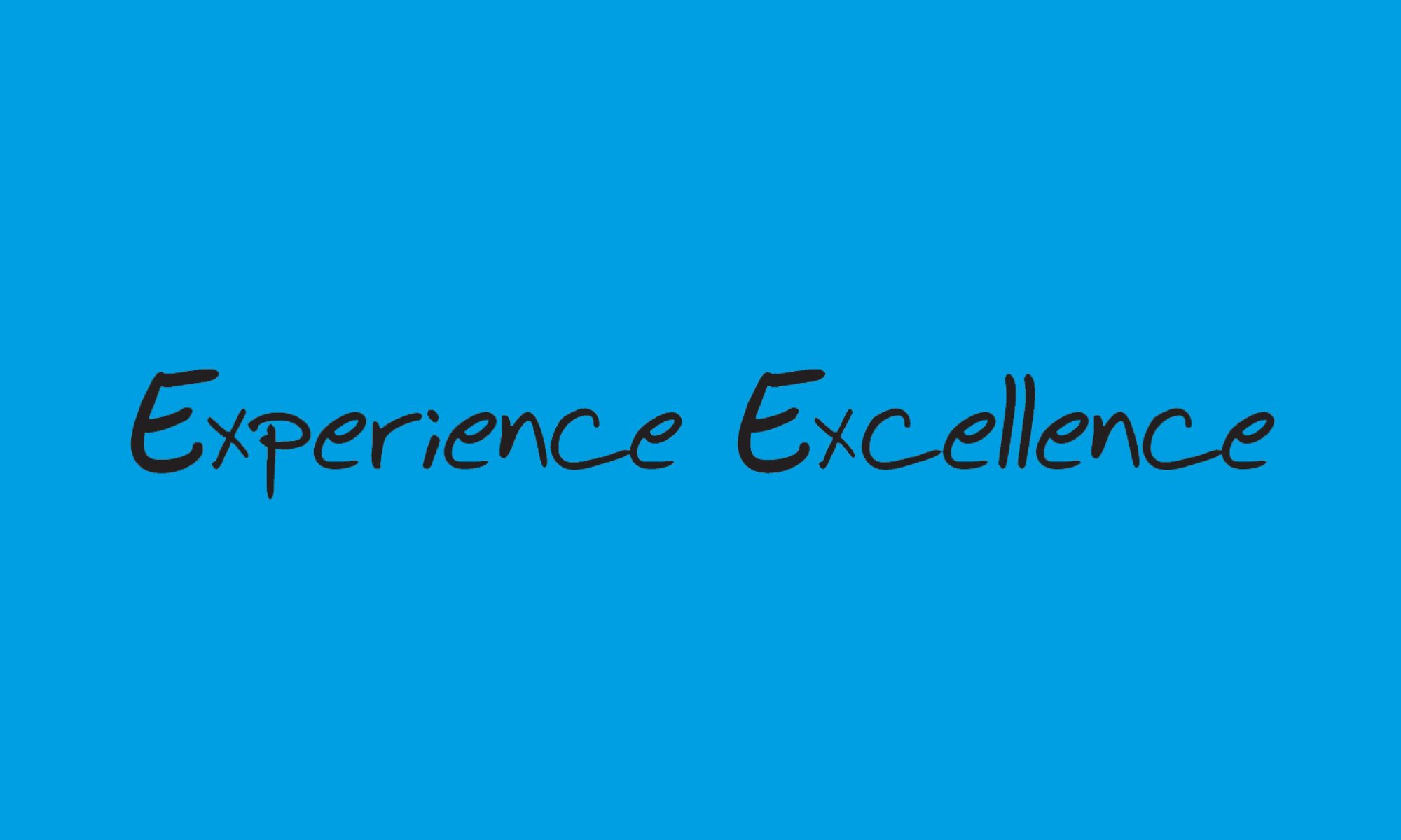 Experience Excellence graphics