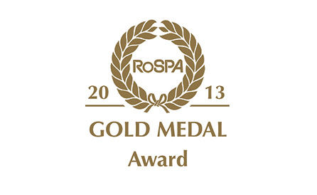 gold-MEDAL-award-2013.jpg